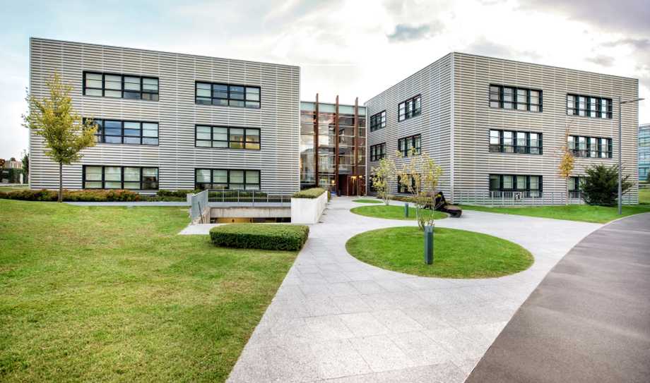 Commercial Landscaping